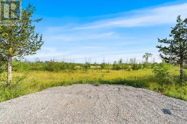 Tyendinaga (tyendinaga Township), ON K0K2N0,3529 BLESSINGTON ROAD