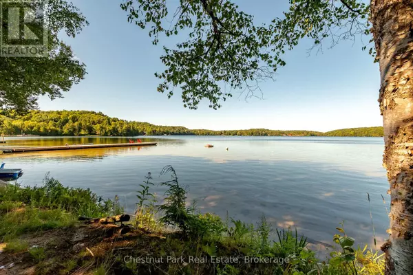 Muskoka Lakes (watt), ON P0B1M0,1167 Skeleton Lake 5 RD South #Unit 1
