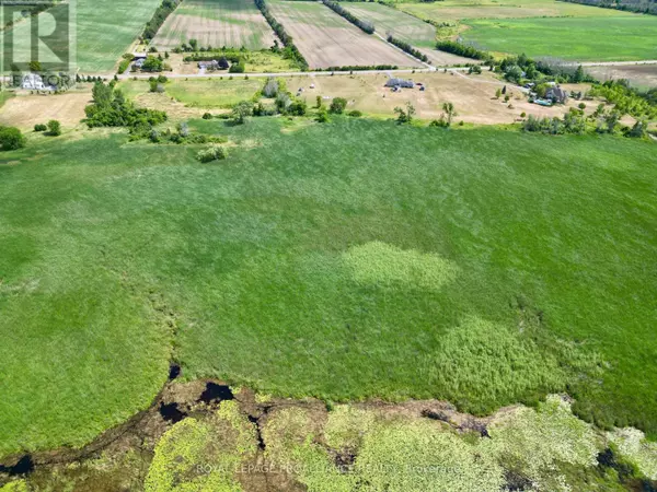 Prince Edward County (sophiasburg Ward), ON K0K2T0,PTLT 31 COUNTY ROAD 15