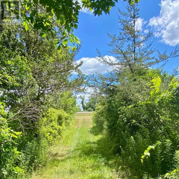 Front Of Yonge, ON K0E1R0,1166 THOUSAND ISLANDS PARKWAY