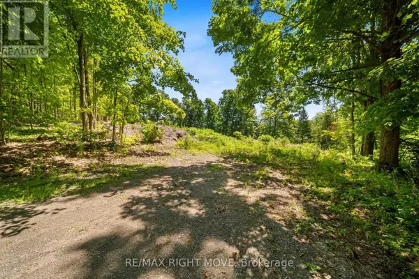 Gravenhurst (muskoka (s)), ON P1P1R2,255 PEARL DRIVE
