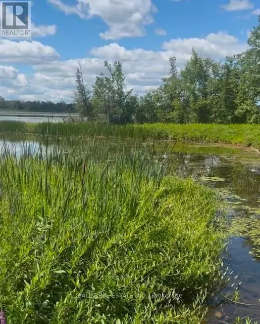 Kawartha Lakes (omemee), ON K0L2W0,19 CARLTON CRESCENT
