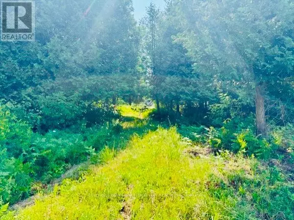 Lanark Highlands, ON K7C3P1,12990 #7 HIGHWAY