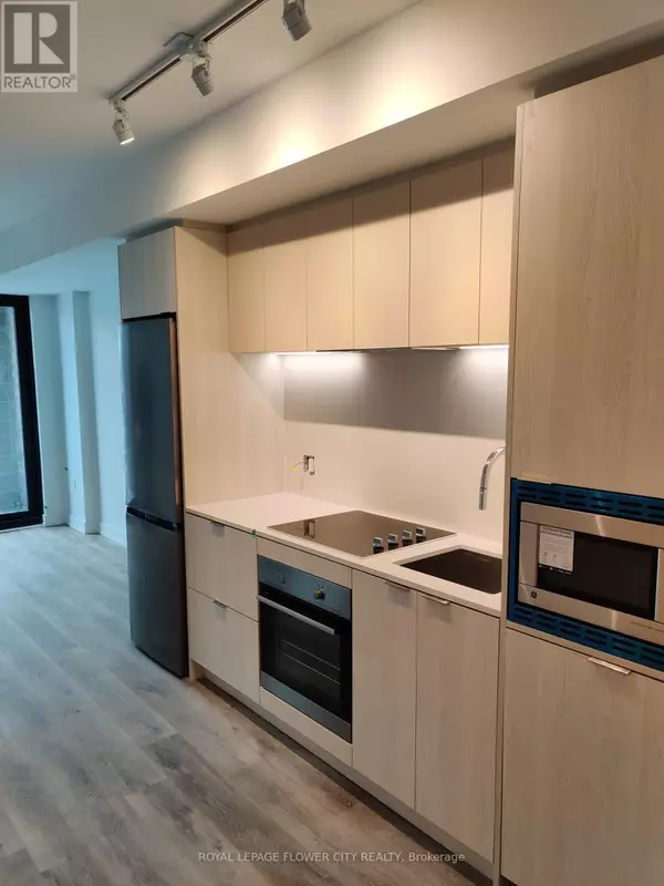 Hamilton (beasley), ON L8R0A8,1 Jarvis ST #311
