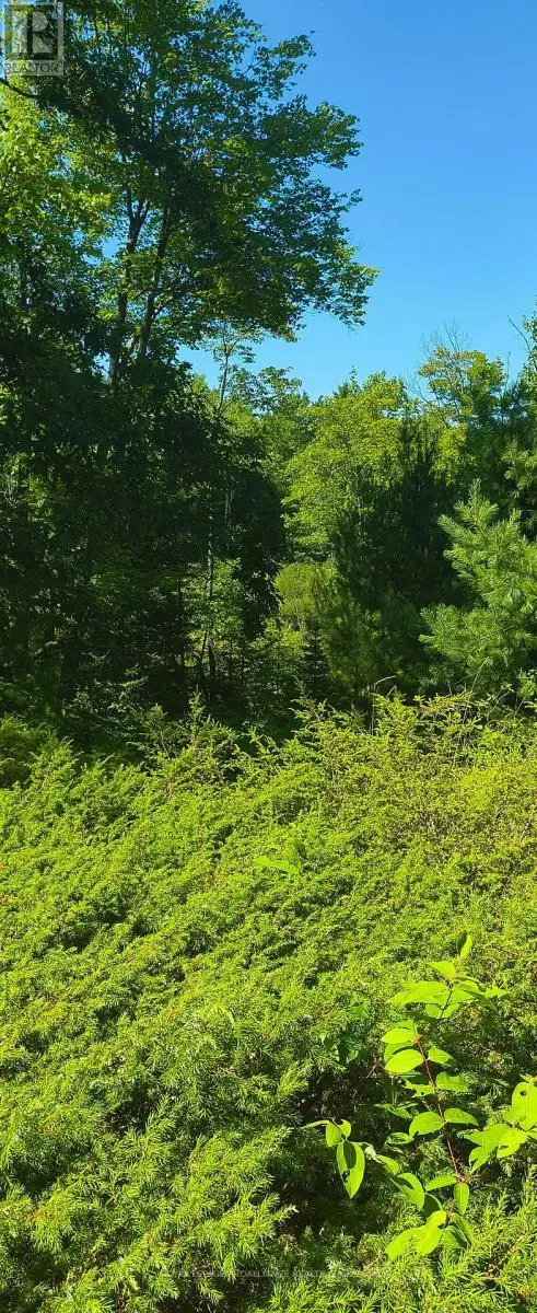 Addington Highlands (addington Highlands), ON K0H1Z0,0000 HIGHWAY 7