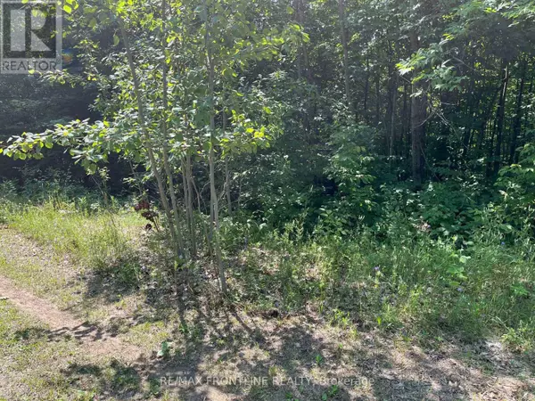 Tay Valley, ON K0H2B0,0 RED PINE ROAD