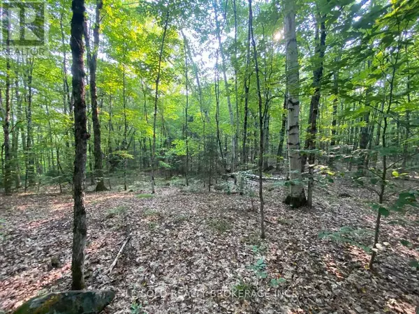 Muskoka Lakes (watt), ON P1L1X4,1310 Camel Lake RD #Lot # 7