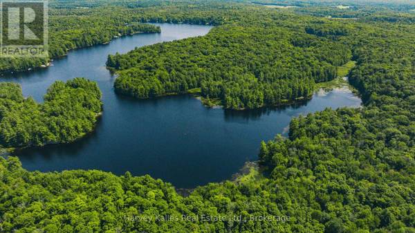 Muskoka Lakes (watt), ON P0B1M0,0 WINDERMERE ROAD