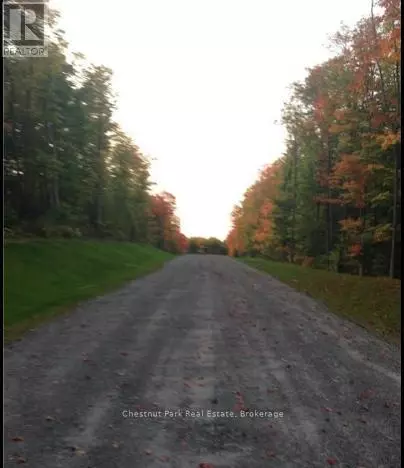 Armour, ON P0A1C0,LOT 11 MILLIE'S WAY