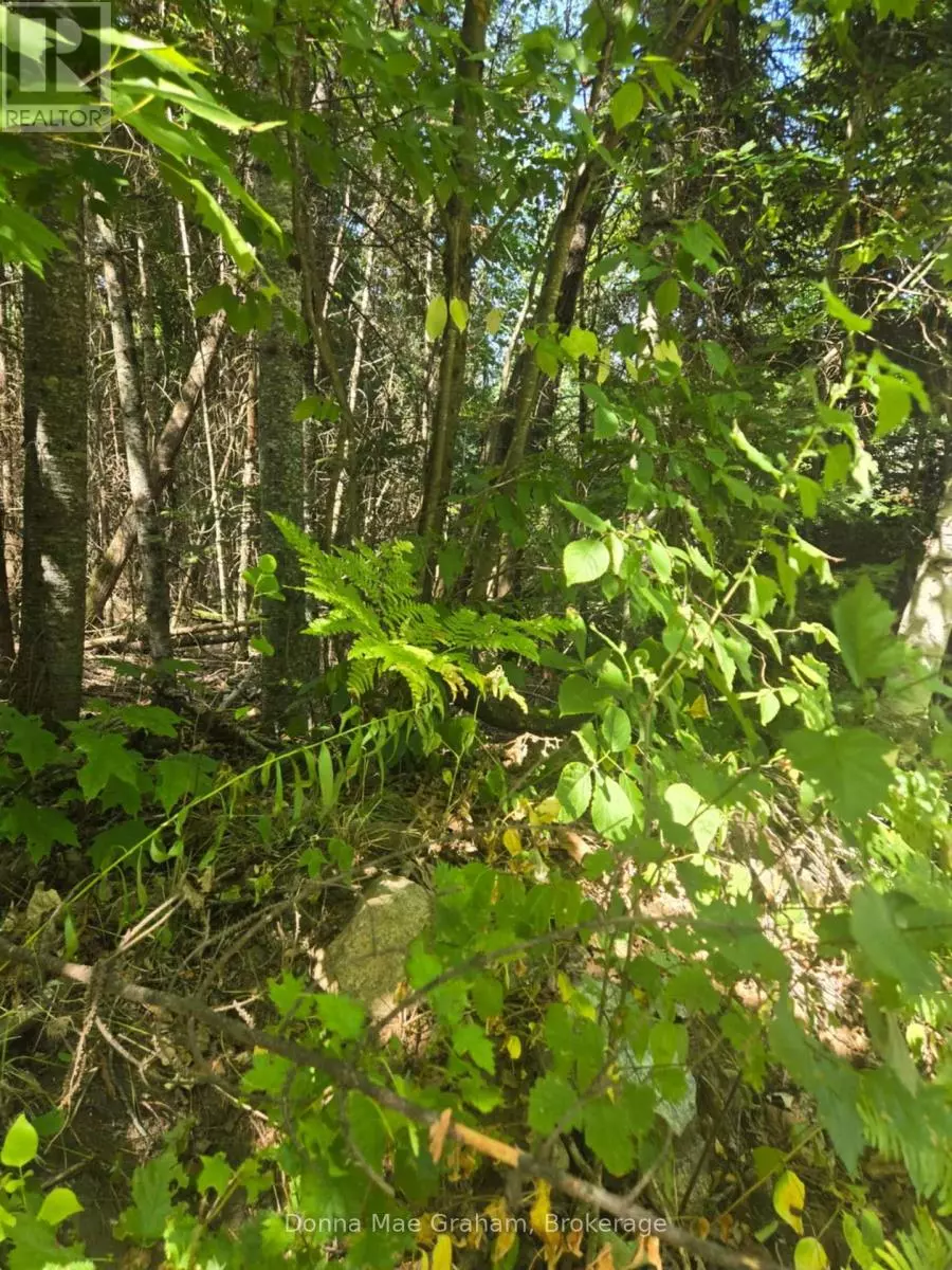 Highlands East (monmouth), ON K0L3C0,0 MACDUFF ROAD ACRES E