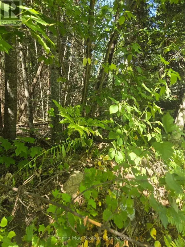 0 MACDUFF ROAD ACRES E, Highlands East (monmouth), ON K0L3C0