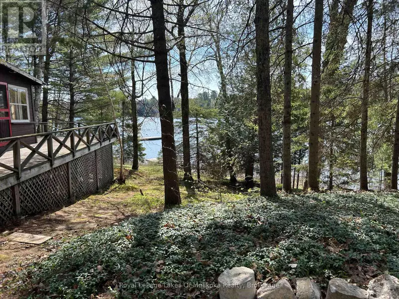 1091 NORTH TOOKE LAKE ROAD, Lake Of Bays (mclean), ON P0B1A0