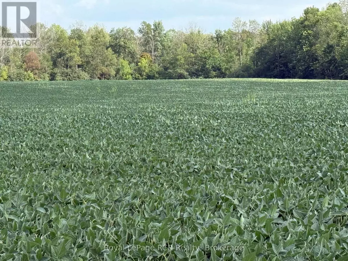 West Grey, ON N0G2L0,LOT 25 7 CONCESSION