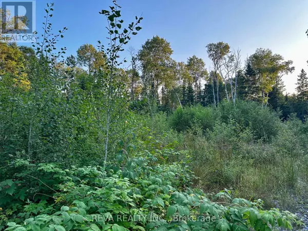 South Algonquin, ON K0J2C9,1647 & 1654 MACKENZIE LAKE ROAD