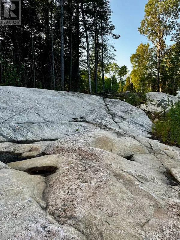 South Algonquin, ON K0J2C9,1647 & 1654 MACKENZIE LAKE ROAD