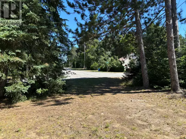 South Algonquin, ON K0J2M0,49 SECOND AVENUE