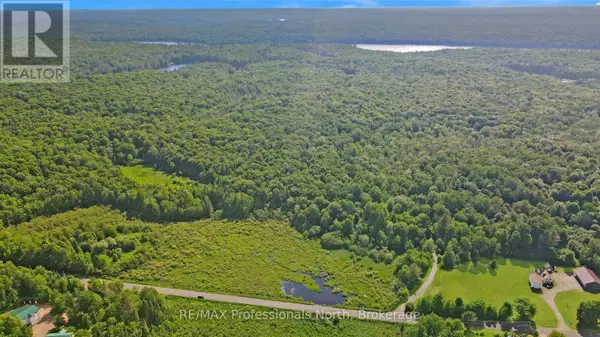 Algonquin Highlands (stanhope), ON K0M1S0,0 BUCKSLIDE ROAD