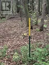 North Glengarry, ON K0C1A0,000 KENYON DAM RD ROAD