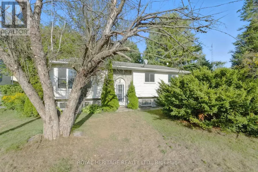 45 MAPLEWOOD AVENUE, Brighton, ON K0K1H0