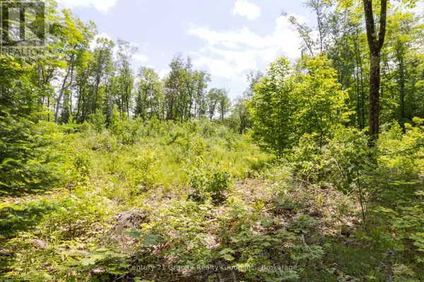 Dysart Et Al (harburn), ON K0M1S0,0 HALIBURTON LAKE ROAD