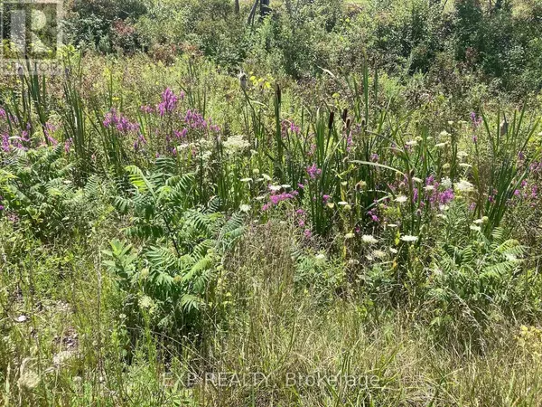 Fort Erie (mulgrave), ON L0S1S0,PT LT11 CON 15 NIAGARA RIVER BERTIE PT 559R1812 ;FORT ERIE