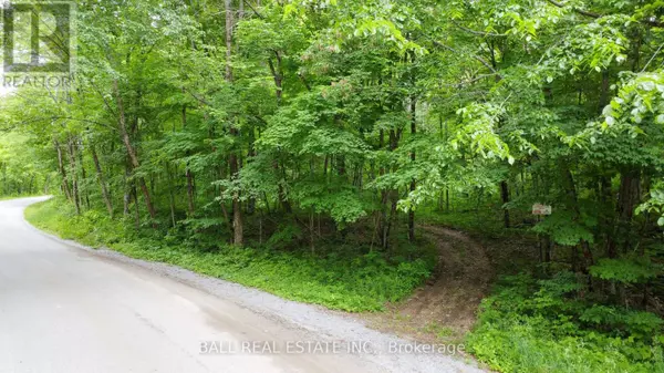 0 NORTHERN AVENUE, Trent Lakes, ON K0M1A0