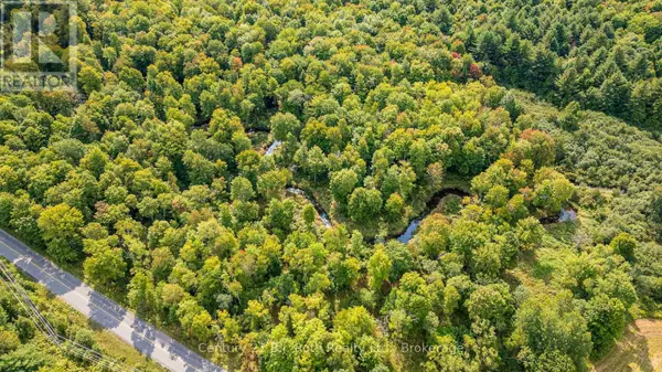 Gravenhurst (morrison), ON P0E1N0,LOT 20 BEIERS ROAD