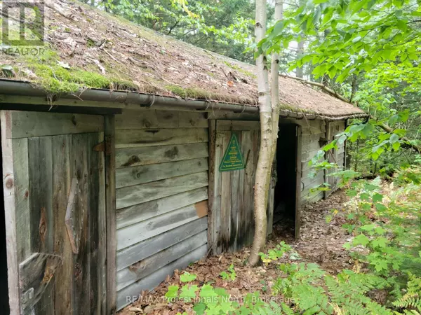 Lake Of Bays (mclean), ON P0B1A0,LOT 9 & 10 CONCESSION 5