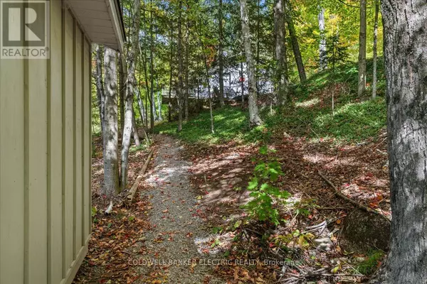 Trent Lakes, ON K0L1J0,29 FIRE ROUTE 296