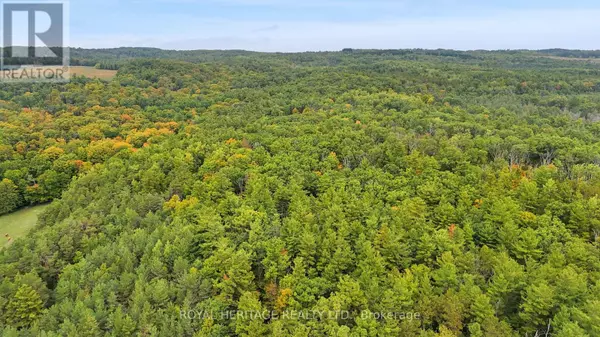 Port Hope, ON L0A1B0,9672 WALKER ROAD