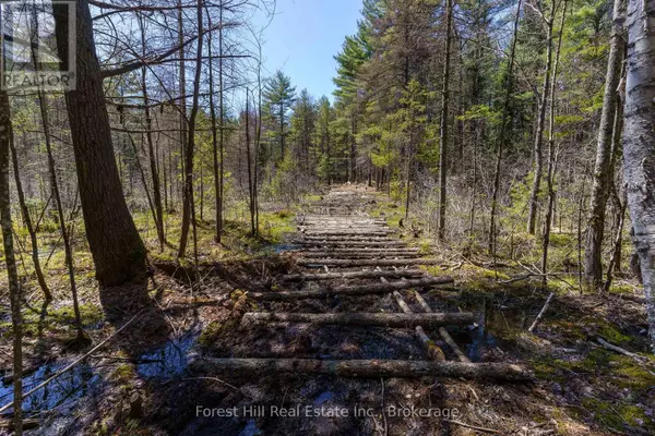 Lake Of Bays (mclean), ON P0A1B0,LT32C9 CONCESSION LINE CONCESSION