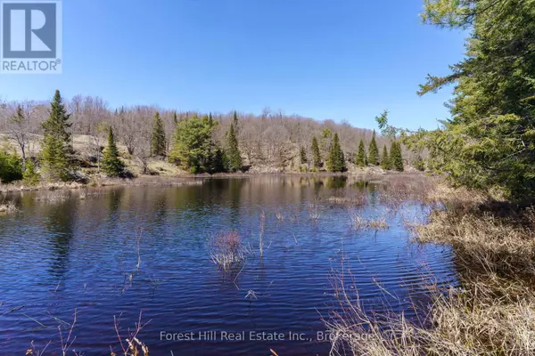 Lake Of Bays (mclean), ON P0A1B0,LT32C9 CONCESSION LINE CONCESSION