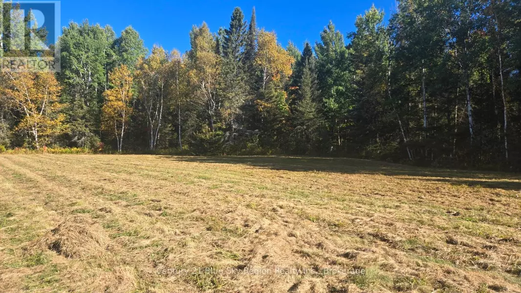 PT LT 1 CON 13 TRAPPERS ROAD, Chisholm, ON P0H1Z0