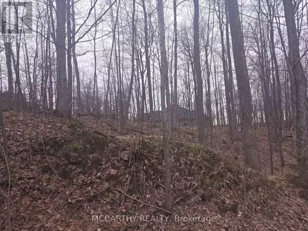 West Grey, ON N0C1H0,LOT  9 PT LT 25, CON RD 8