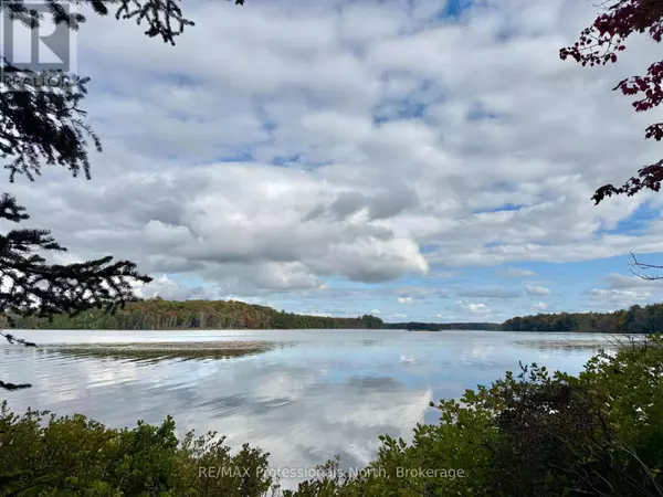 Mcmurrich/monteith (monteith), ON P0B1M0,LOT 9 AXE LAKE ROAD