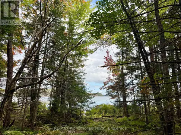 Mcmurrich/monteith (monteith), ON P0B1M0,LOT 9 AXE LAKE ROAD