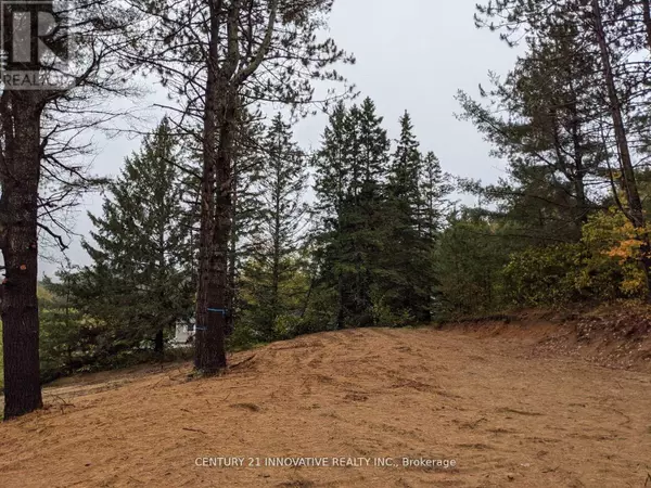 Hastings Highlands (herschel Ward), ON K0L1C0,57 BIRD LAKE ROAD