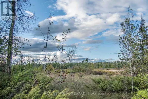 LOT 254 MCGUIRE BEACH ROAD, Kawartha Lakes (carden), ON K0M2B0