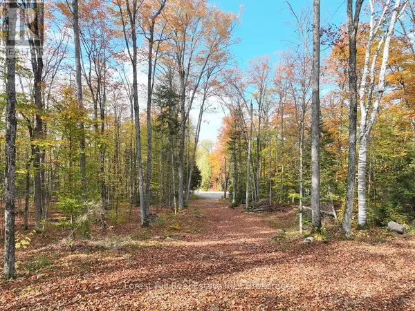 Algonquin Highlands (sherborne), ON P0A1E0,4488 KAWAGAMA LAKE ROAD