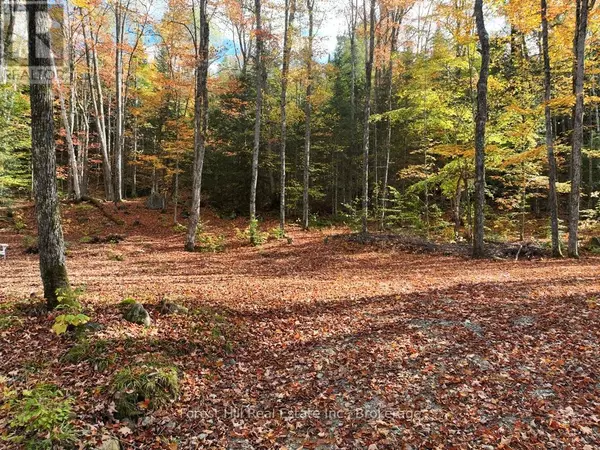 Algonquin Highlands (sherborne), ON P0A1E0,4488 KAWAGAMA LAKE ROAD