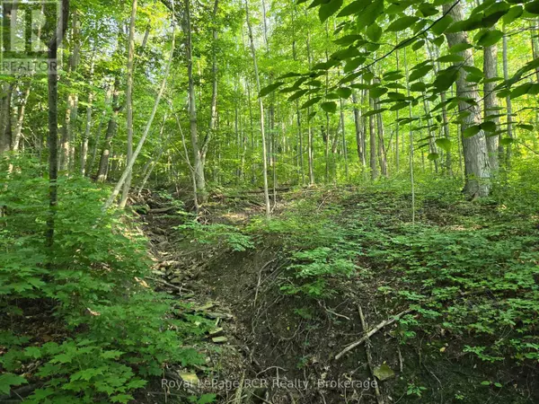 Meaford, ON N4L1W7,130 OLD HIGHWAY 26 HIGHWAY