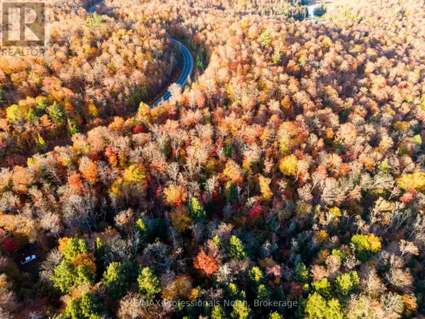 Algonquin Highlands (mcclintock), ON P0A1E0,2594 LIVINGSTONE LAKE ROAD
