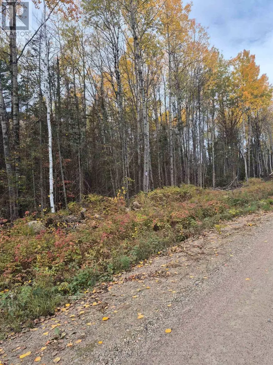 Papineau-cameron (papineau Cameron), ON P0H1V0,PT LOT 1 CON 9 ARCHAMBEAULT ROAD