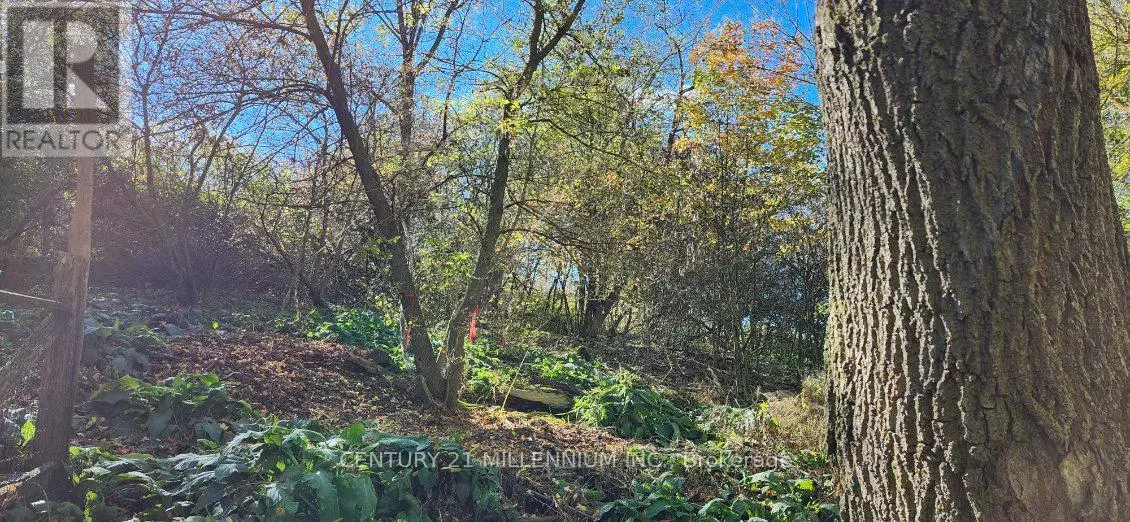 PLAN 4A BLK 3 LOT 10 MILL STREET, Amaranth, ON L9W3Z3