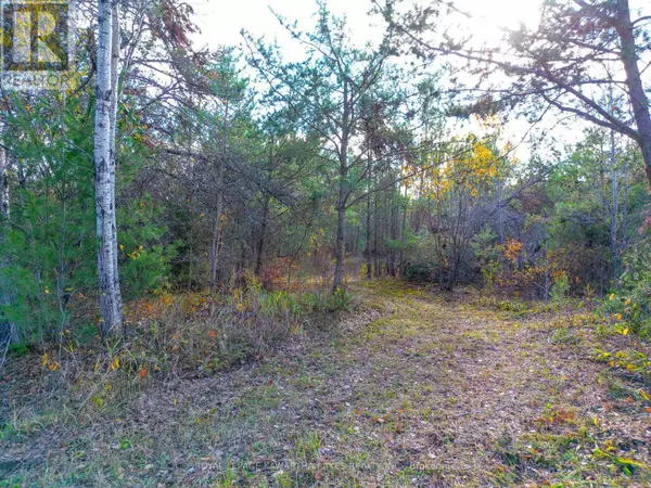 Kawartha Lakes (somerville), ON K0M1C0,LT 36 HODGSON DRIVE