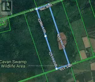 Cavan Monaghan (cavan Twp), ON L0A1C0,0 MOUNT PLEASANT ROAD