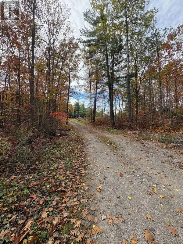 Minden Hills (lutterworth), ON K0M2L0,1295 DEEP BAY ROAD