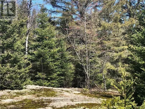 Armour, ON P0A1C0,00 PICKEREL & JACK LAKE ROAD