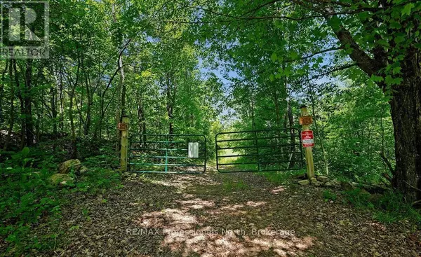 Algonquin Highlands (stanhope), ON K0M1S0,1134 WALKERS LINE ROAD