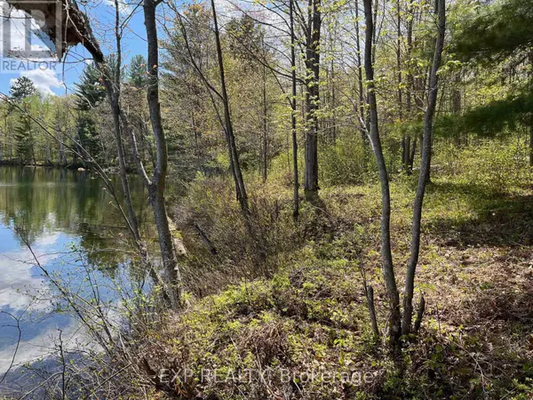 Madawaska Valley, ON K0J1B0,LOT 15 SANDY SHORES TRAIL